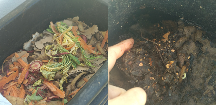 photo du compost avant/après